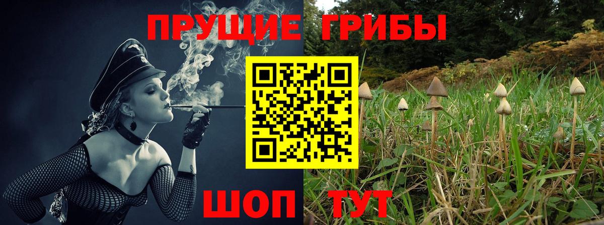 Псилоцибиновые грибы прущие грибы Губкинский