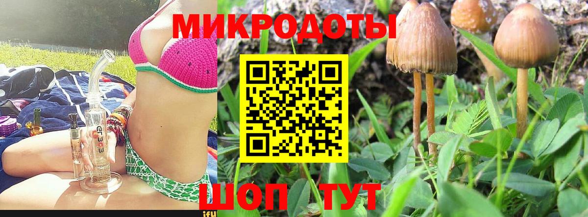 Псилоцибиновые грибы прущие грибы  Вход с VPN  цены   Галлюциногенные грибы Magic Shrooms  Губкинский 